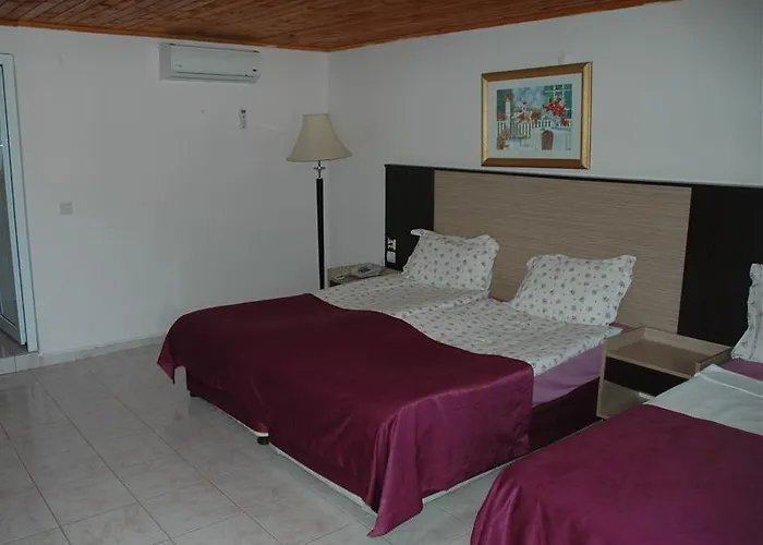 מלון Altinkum 3*